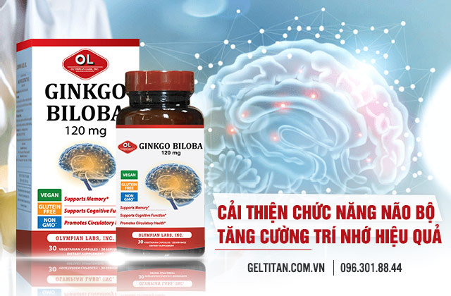 Ginkgo Biloba chăm sóc hệ thần kinh và não 
