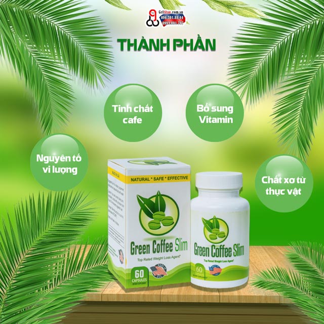 Thành phần Green Coffee Slim