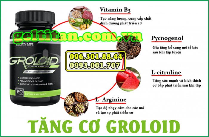 Groloid