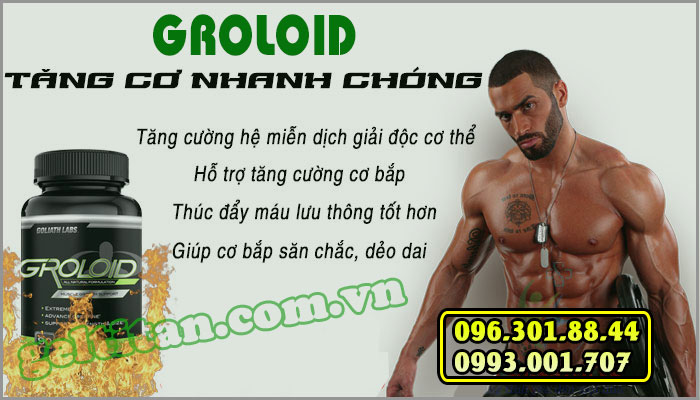 Groloid