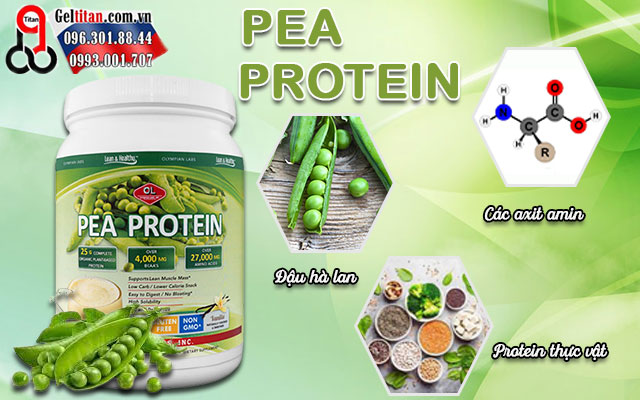 thành phần sản phẩm pea protein