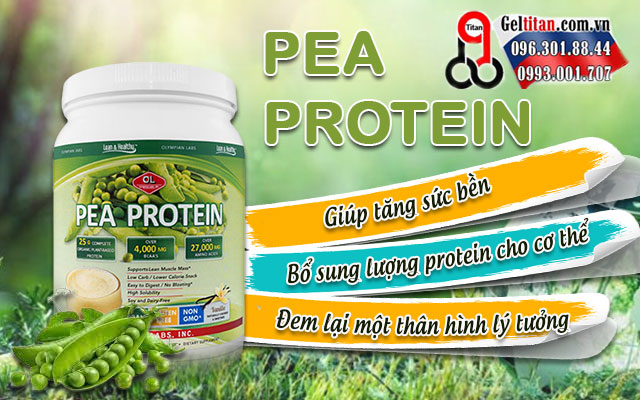 công dụng sản phẩm pea protein