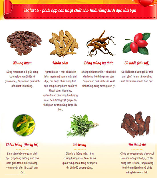thành phần eroforce thành phần eroforce