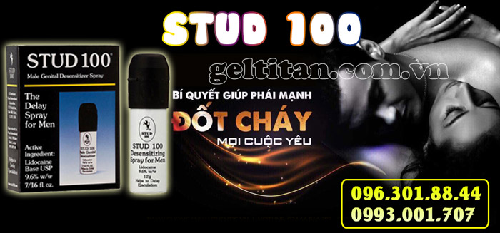 Stud 100